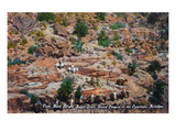 Grand Canyon Nat'l Park, Arizona - Cape Horn View Posters by Lantern Press 