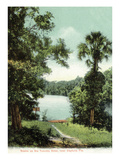 Florida - Tomoka River Scene Near Dayton Affiches par Lantern Press 