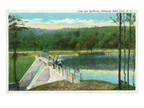Allegany State Park, New York - View of the Lake and Spillway Posters by Lantern Press 