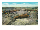 Grand Canyon Nat'l Park, Arizona - Fallen Monarchs in Petrified Forest Affiches par Lantern Press 