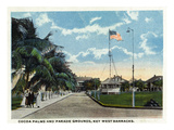 Key West, Florida - Key West Barracks Cocoa Palms and Parade Grounds Affiches par Lantern Press 