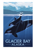 Glacier Bay, Alaska - Orca and Calf Affiches par Lantern Press 