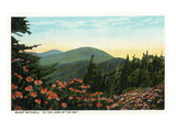 Blue Ridge Mountains, North Carolina - Mount Mitchelll Scene Art by Lantern Press 