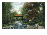 Rochester, New York - Allen's Creek Rustic Bridge View Posters par Lantern Press 