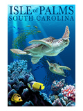 Isle of Palms, South Carolina - Sea Turtles Prints by Lantern Press 