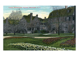 Rochester, New York - Portsmouth Terrace Tulips in Bloom Pósters por Lantern Press