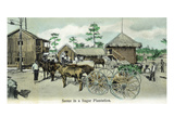 Florida - Sugar Plantation Scene Prints by Lantern Press 