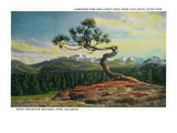 Rocky Mt. Nat'l Park, Colorado - High Drive Lonesome Pine View of Long's Peak Plakater af Lantern Press