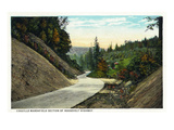 Oregon - Coquille-Marshfield Coastal Highway Section Posters by Lantern Press 