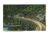 Oregon - Coastal Highway Between Roseburg and Myrtle Point Posters by Lantern Press 