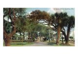 Daytona Beach, Florida - View Down S Beach Street Prints by Lantern Press 