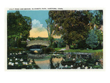 Hartford, Connecticut - Elizabeth Park Lily Pond and Bridge Posters by Lantern Press 