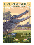 The Everglades National Park, Florida - Alligator Scene Prints by Lantern Press 