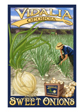 Vidalia, Georgia - Onion Field Pósters por Lantern Press Vidalia, Georgia - Onion Field Pósters por Lantern Press