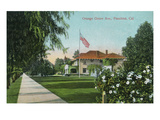 Pasadena, California - Scenic View Down Orange Grove Avenue Prints by Lantern Press 