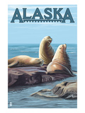 Alaska - Sea Lions Affiche par Lantern Press 