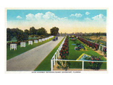 Davenport, Florida - Dixie Highway Scene Poster by Lantern Press 