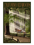 California - Deer and Fawns in Redwoods Posters by Lantern Press 
