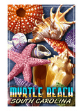 Myrtle Beach, South Carolina - Shell Montage Prints by Lantern Press 
