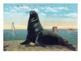 Santa Catalina Island, California - View of Old Ben the Giant Sea Lion on Dock Poster van Lantern Press Santa Catalina Island, California - View of Old Ben the Giant Sea Lion on Dock Poster van Lantern Press