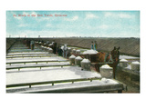 Syracuse, New York - View of Workers in the Salt Yards Posters by Lantern Press 