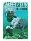 Marco Island, Florida - Manatees Affiches par Lantern Press 
