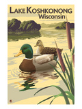 Lake Koshkonong, Wisconsin - Mallard Ducks Prints by Lantern Press 