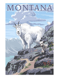 Mountain Goat and Kid - Montana Prints by Lantern Press 