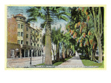 San Jose, California - North 1st Street View of St. James Hotel and Park Art by Lantern Press 