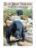 Blue Ridge Parkway, North Carolina - Black Bears Fishing Art by Lantern Press 