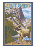 Big Horn Sheep - New Mexico Prints by Lantern Press 