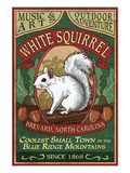 Brevard, North Carolina - White Squirrel Affiche par Lantern Press 