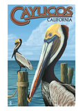 Cayucos, California - Pelicans Poster par Lantern Press 