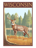 White-Tailed Deer - Wisconsin Posters by Lantern Press 