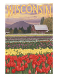 Tulip Fields - Wisconsin Art by Lantern Press 