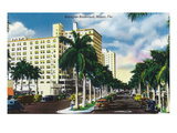 Lantern Press - Miami, Florida - Biscayne Boulevard Scene Umělecké plakáty