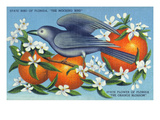 Florida - Mockingbird and Orange Blossoms, State Bird and Flower Posters by Lantern Press 