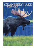 Cranberry Lake, New York - Moose at Night Prints by Lantern Press 
