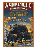 Asheville, North Carolina - Black Bear Posters by Lantern Press 