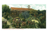 California - View of a Californian Rose Garden Prints by Lantern Press 