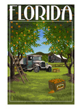 Florida - Orange Grove with Truck Posters by Lantern Press 