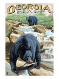 Georgia - Black Bears Fishing Posters by Lantern Press 