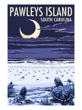 Pawleys Island, South Carolina - Baby Sea Turtles Posters by Lantern Press 