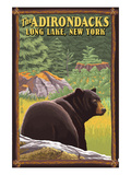 The Adirondacks - Long Lake, New York State - Black Bear in Forest Prints by Lantern Press 