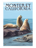 Monterey, California - Sea Lions Art by Lantern Press 