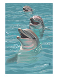 Dolphins Posters by Lantern Press 