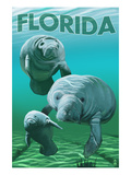 Florida - Manatees Affiches par Lantern Press 