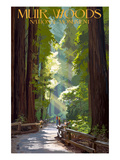 Muir Woods National Monument, California - Pathway Print by Lantern Press 