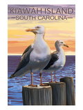 Kiawah Island, South Carolina - Seagulls Prints by Lantern Press 
