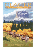 Chief Mountain and Big Horn Sheep - Glacier National Park, Montana Pôsters por Lantern Press Chief Mountain and Big Horn Sheep - Glacier National Park, Montana Pôsters por Lantern Press